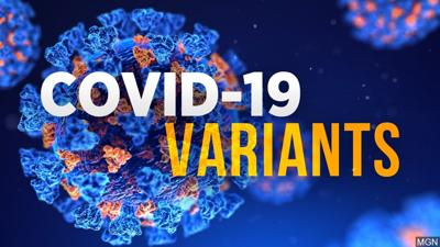 COVID-19 variants, virus