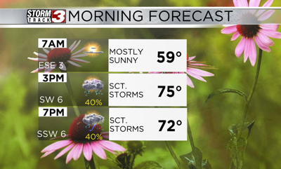 Hourly forecast