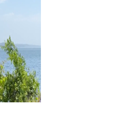 TVA Updates Drought Conditions on Kentucky Lake