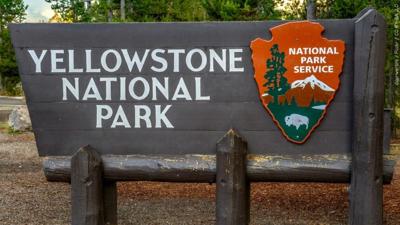 yellowstone national park