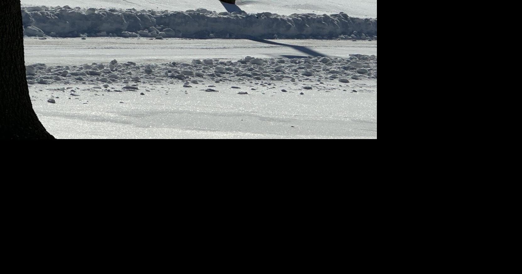 Kentucky Emergency Management Urges Residents to Practice Safe Snow Shoveling