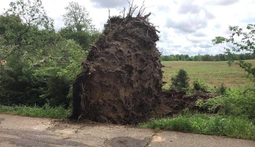 graves county storms