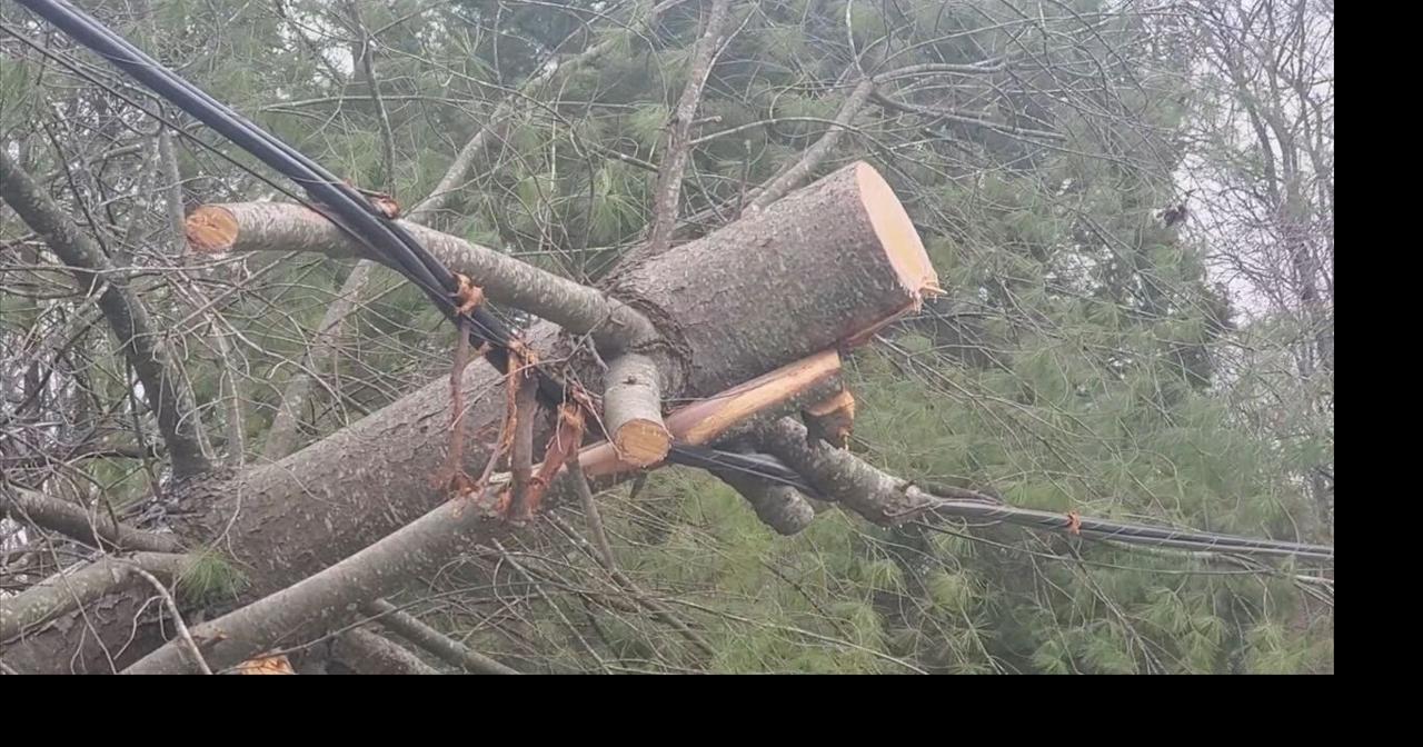 tree-trimmers-ameren-prepare-for-cleanup-after-the-storm-electricity