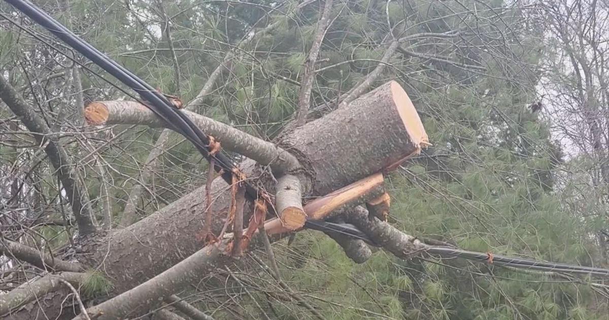 Tree Trimmers Ameren Prepare For Cleanup After The Storm Electricity tree-trimmers-ameren-prepare-for-cleanup-after-the-storm-electricity