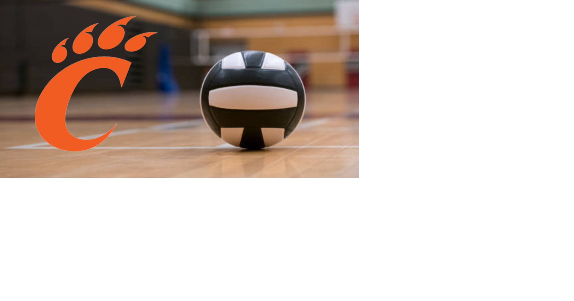 Carterville High School's Volleyball Team Hosts Third Annual "Lil Lions