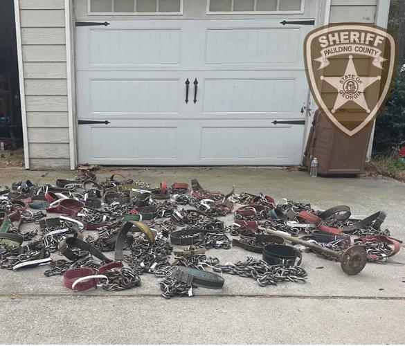 Georgia man arrested for animal cruelty after 106 dogs bred for fighting were found on his property