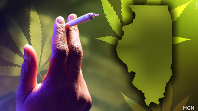 Cannabis Illinois web pic