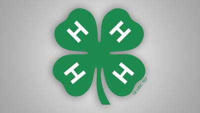 4H