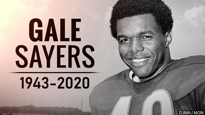 gale sayers rookie