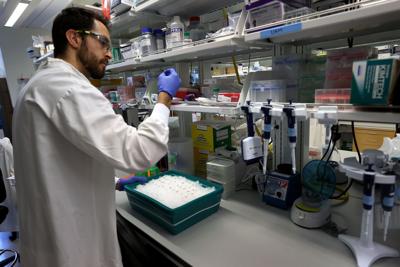 The US is entering a riskier season for spread of H5N1 bird flu. Here’s why experts are worried