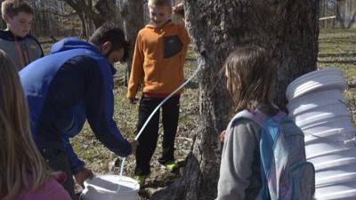 maple sugarin weekend web
