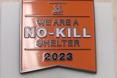 No Kill Shelter