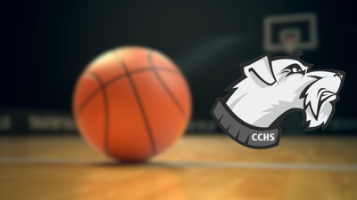 Carbondale High School Holds Annual Lady Terriers Youth Basketball Camp