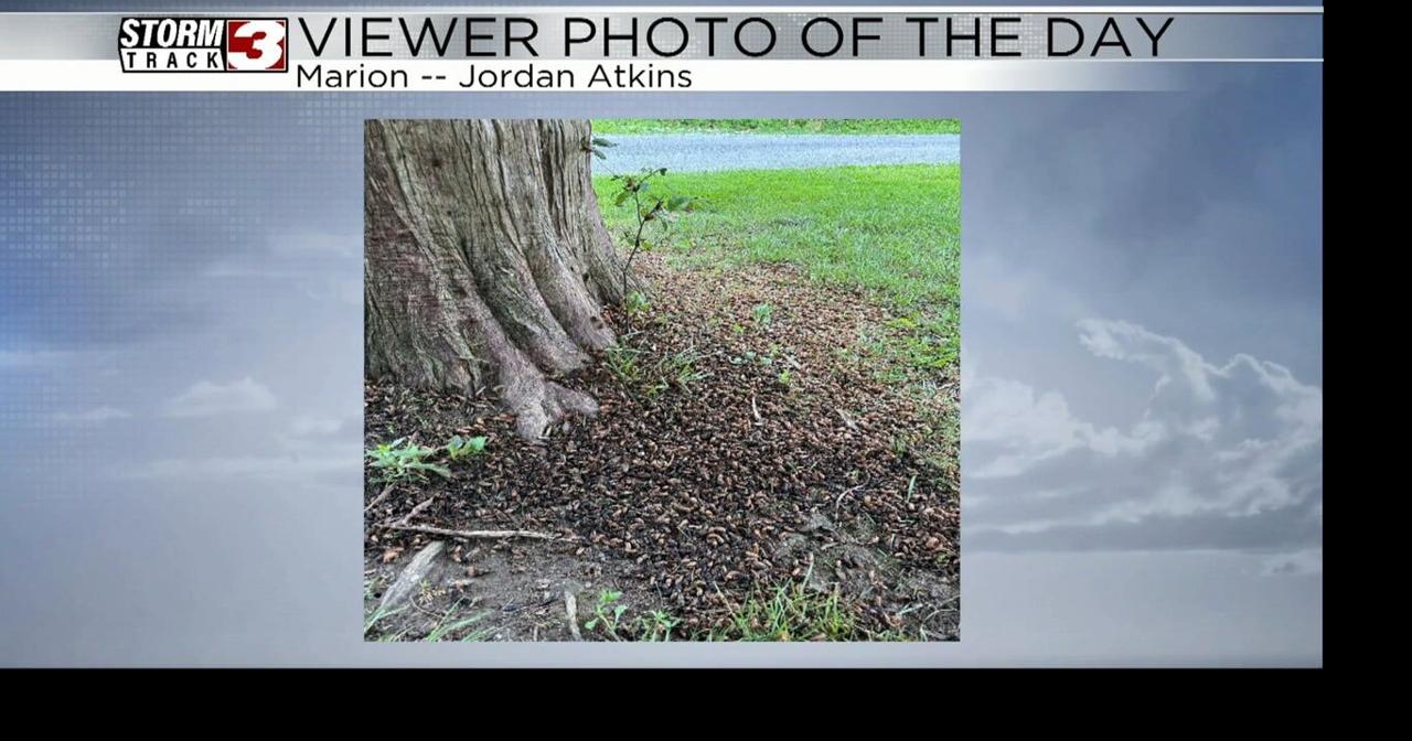 Viewer Photo of the Day by Jordan Atkins | Video | wsiltv.com