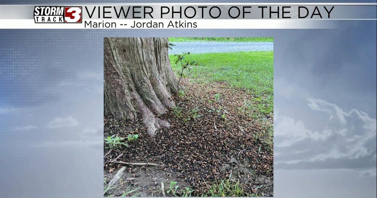 Viewer Photo of the Day by Jordan Atkins | Video | wsiltv.com