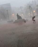 Person falls over in extreme windy condition at University of Kentucky #shorts