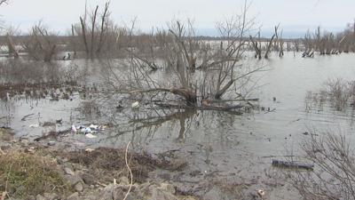 REND LAKE CAR IN WATER