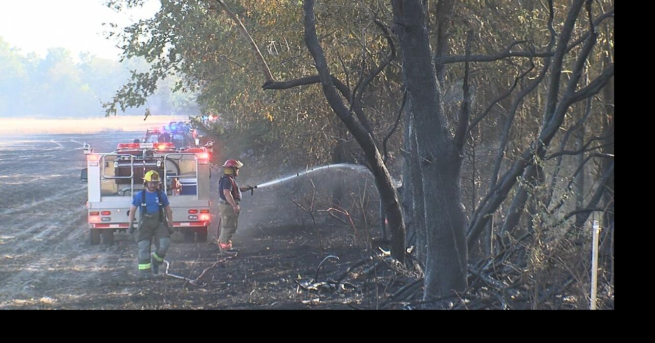 Strong winds fuel field fire in Tamaroa News
