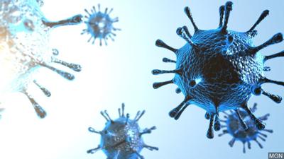 coronavirus, covid