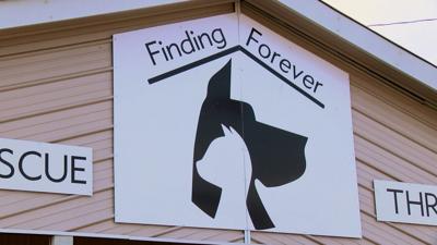 Finding Forever Web Pic