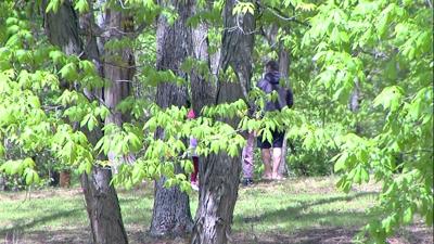 Group opposes making the Shawnee National Forest into a National Park 1