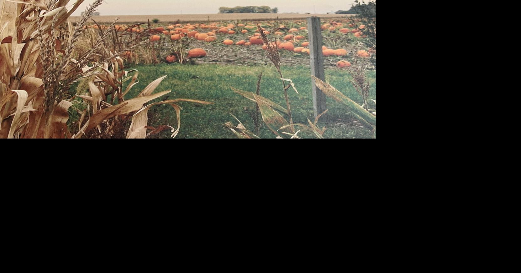 Harvest Season, different times for one long-time farmer | Local News ...
