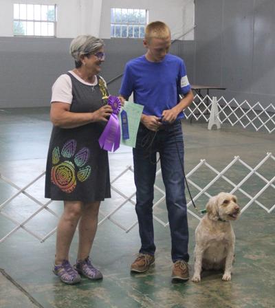 4-H'ers Demonstrate Skills with Canine Companions