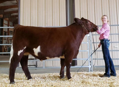Kendall County 4-H Livestock Auction Returns to Traditional Format