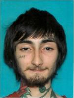 Suspect in custody in Highland Park mass shooting