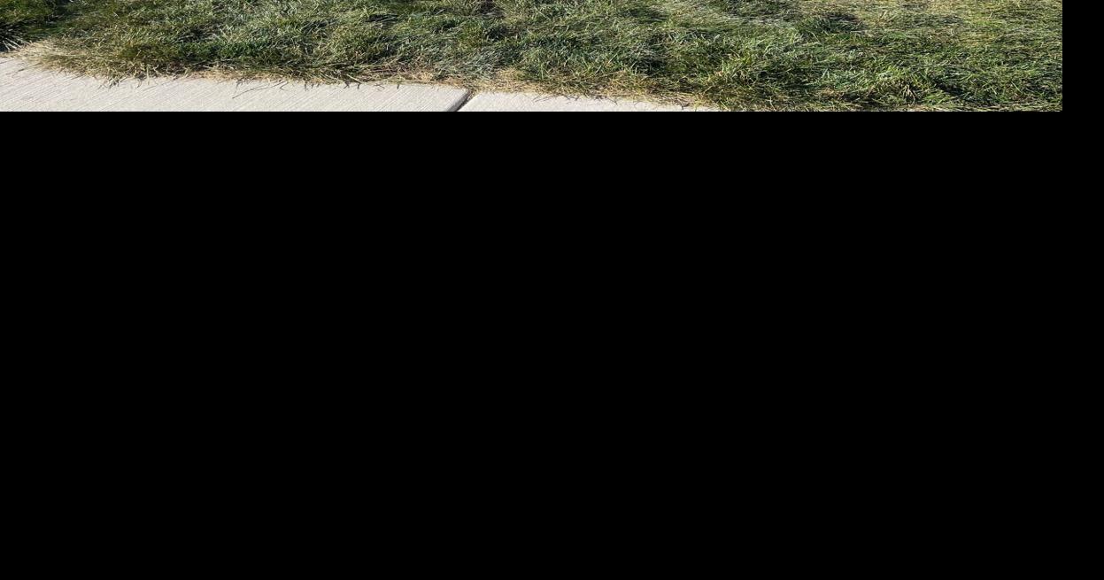 Somonauk School Board Candidate Profile Erik Wold Local News