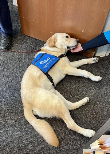 Kane County Child Advocacy Center welcomes first facility dog following