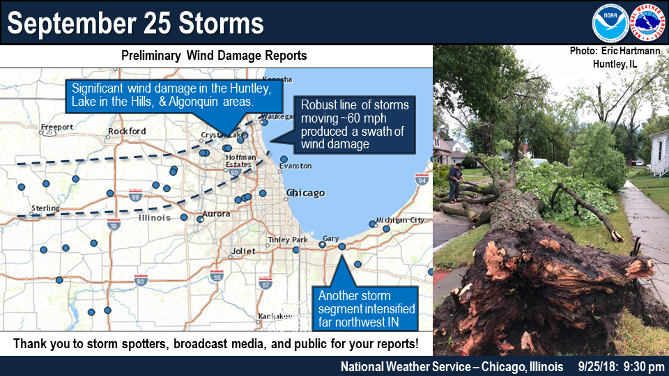 Strong Winds Down Trees, Power Lines in Tuesday Storms | Local News ...