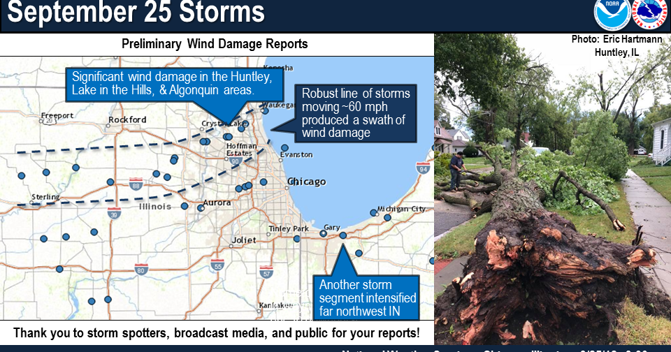 Strong Winds Down Trees, Power Lines in Tuesday Storms | Local News ...