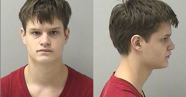 Elgin man charged in fatal crash with school bus | Local News ...