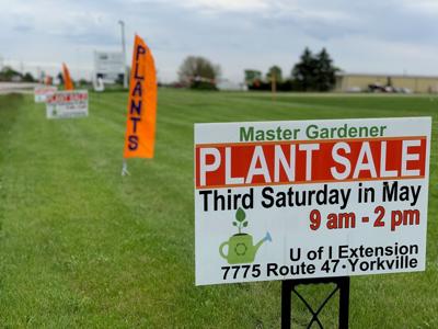 Master Gardeners will host plant sale on Saturday | Local News ...