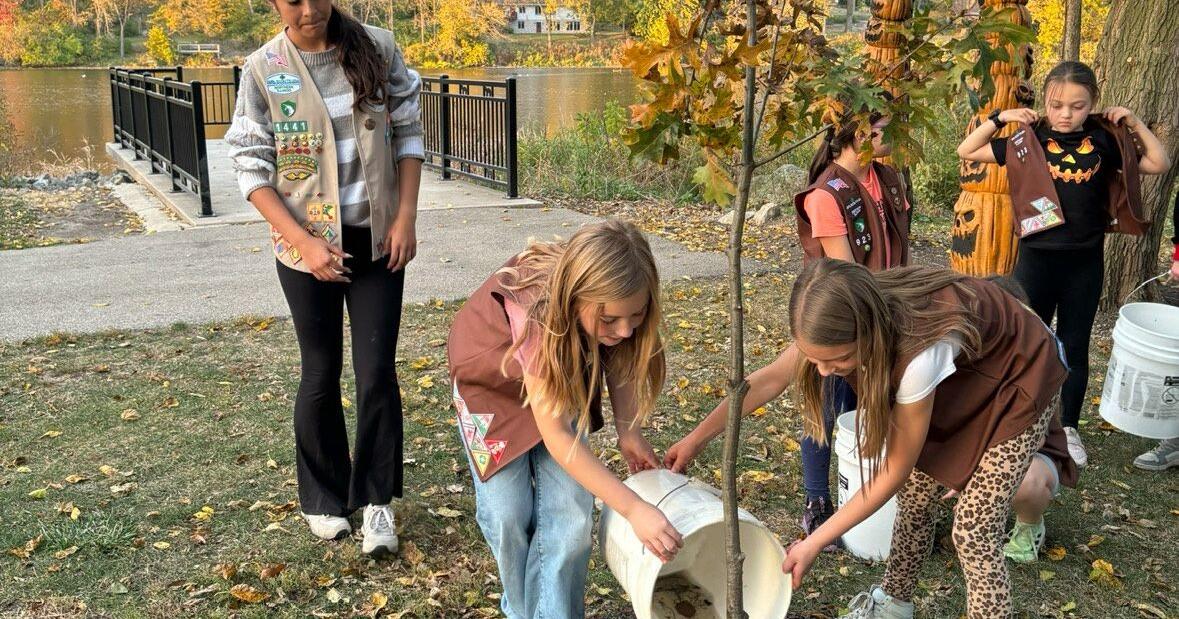 Fiona Ripp Yorkville teenager receives Girl Scout Gold Award Scholarship following ...