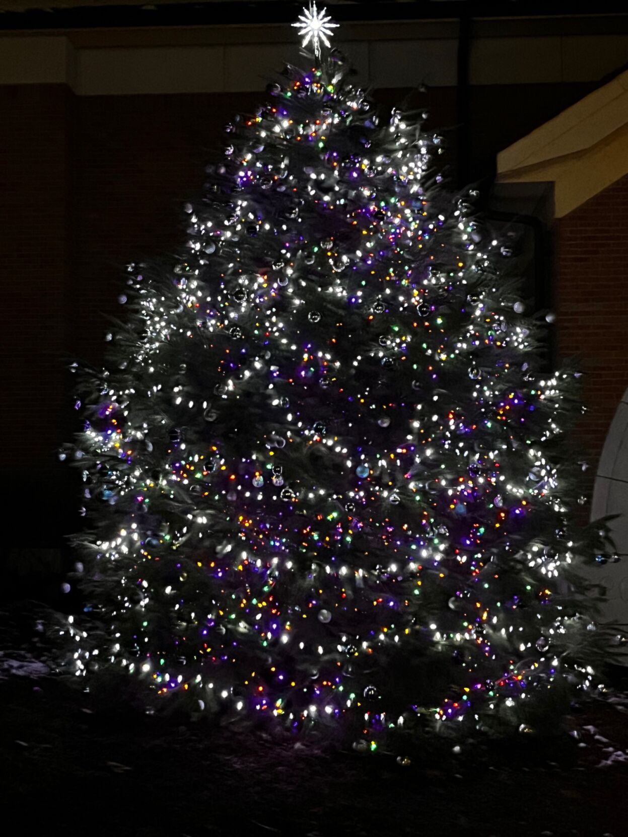 Christmas Tree Decorating Contest Winners Announced Local News   659d8949e61fc.image 