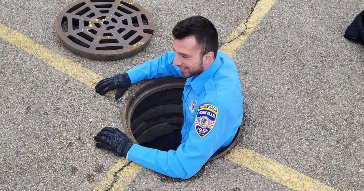 Yorkville police rescue ducklings from storm drain | Local News ...