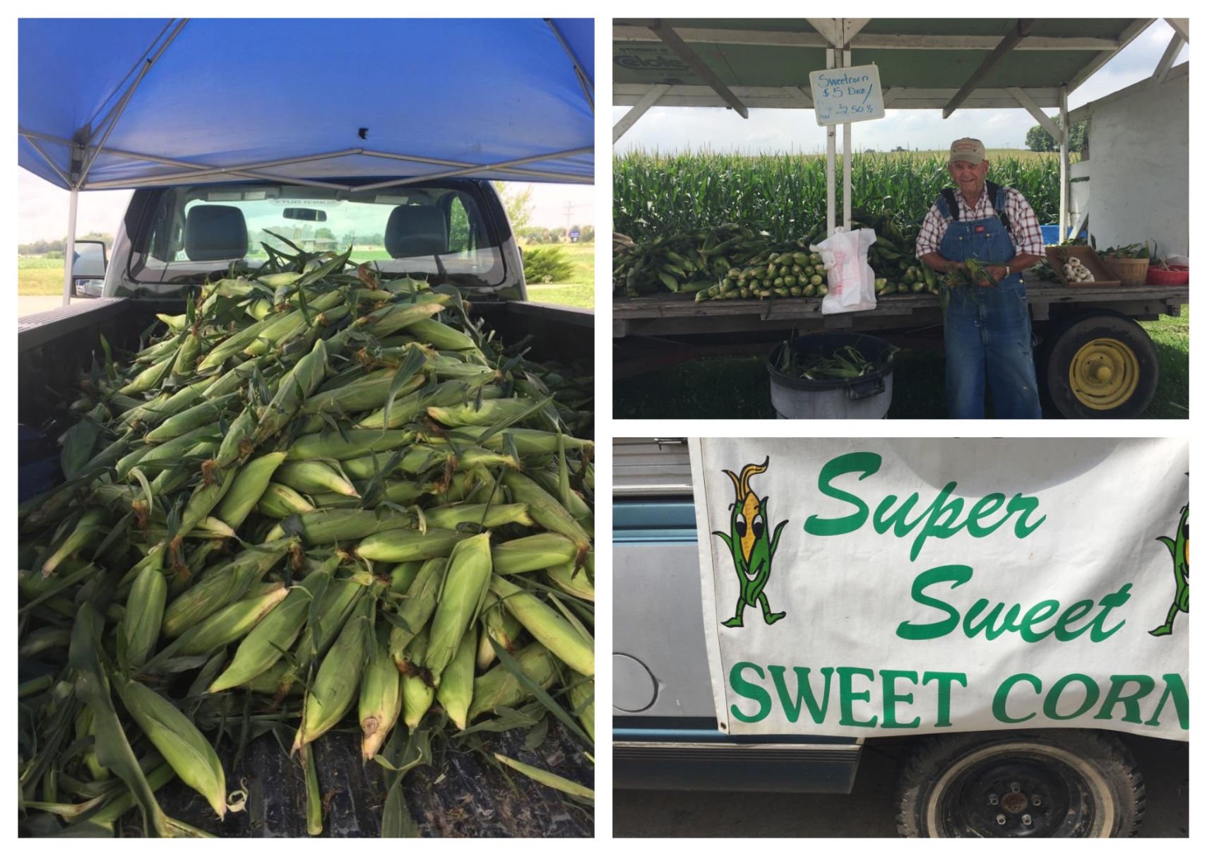 fresh sweet corn stands near me