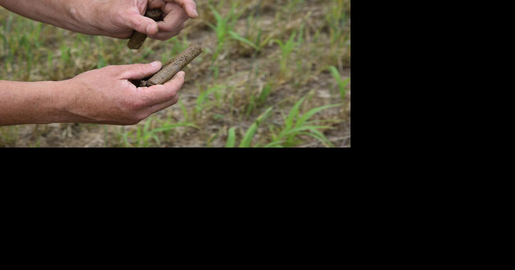 Indiana's no-cost soil sampling aims to boost farm productivity