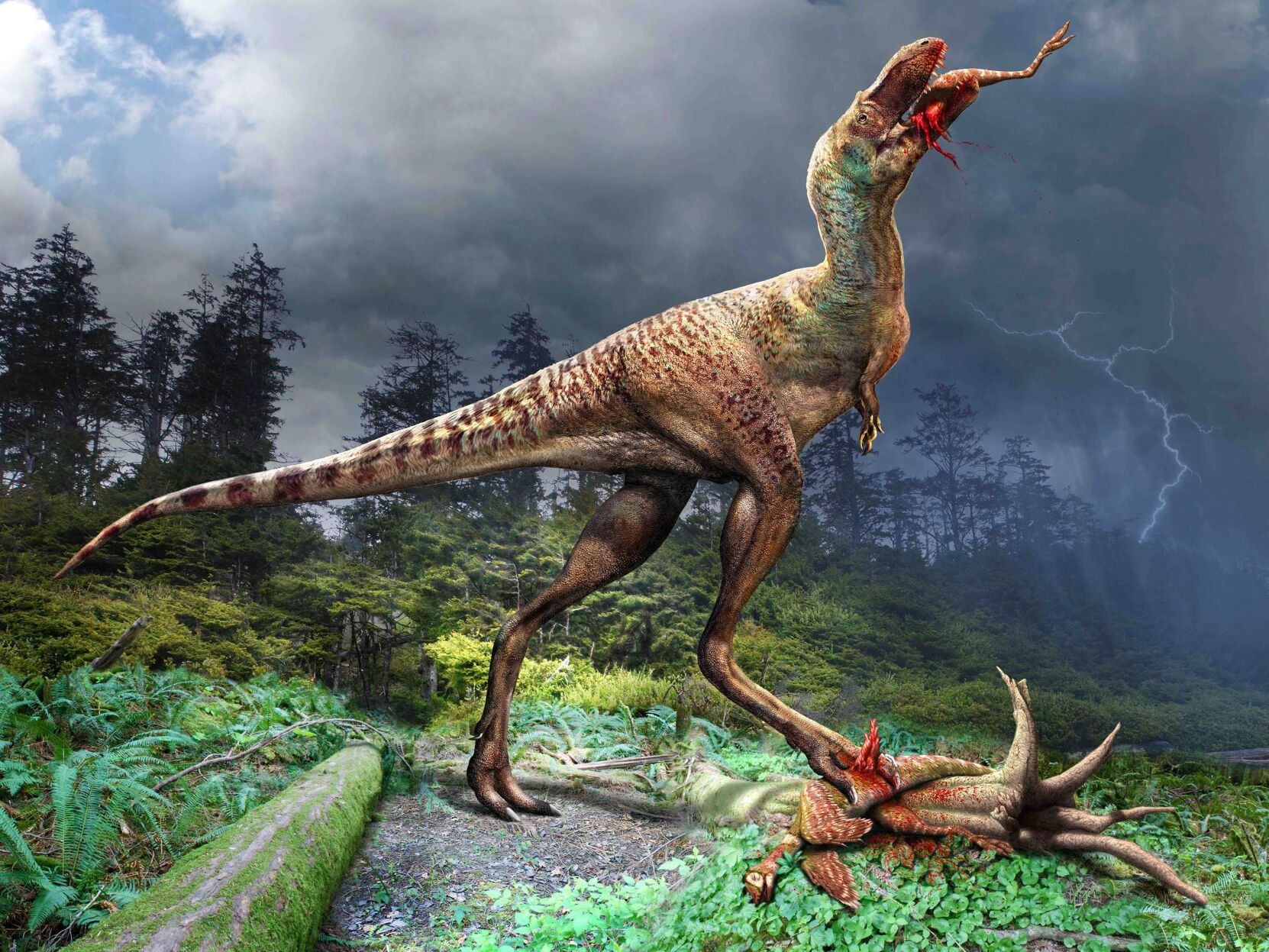 Trilobites Corner: A tyrannosaur was found fossilised, and so was its last  meal