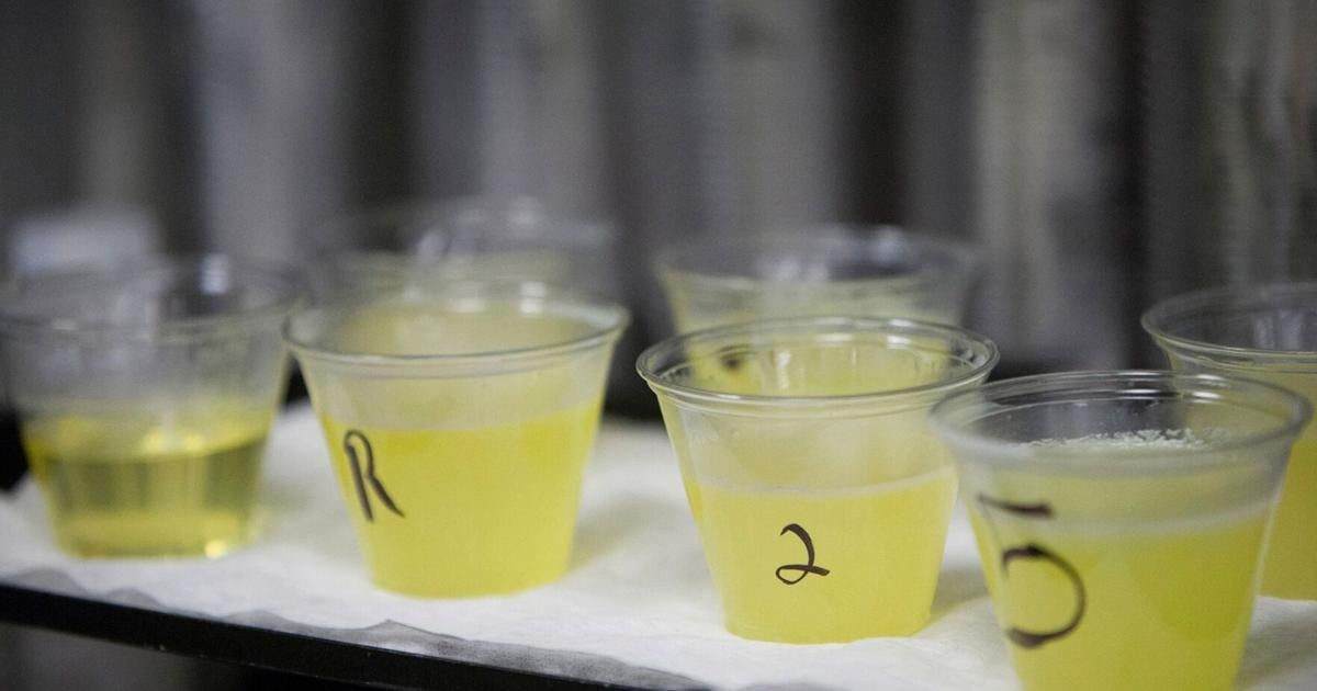 Robert F. Kennedy Jr. says beef tallow is healthier than seed oils. Is he right? – WTHI-TV Robert F. Kennedy Jr. says beef tallow is healthier than seed oils. Is he right? – WTHI-TV