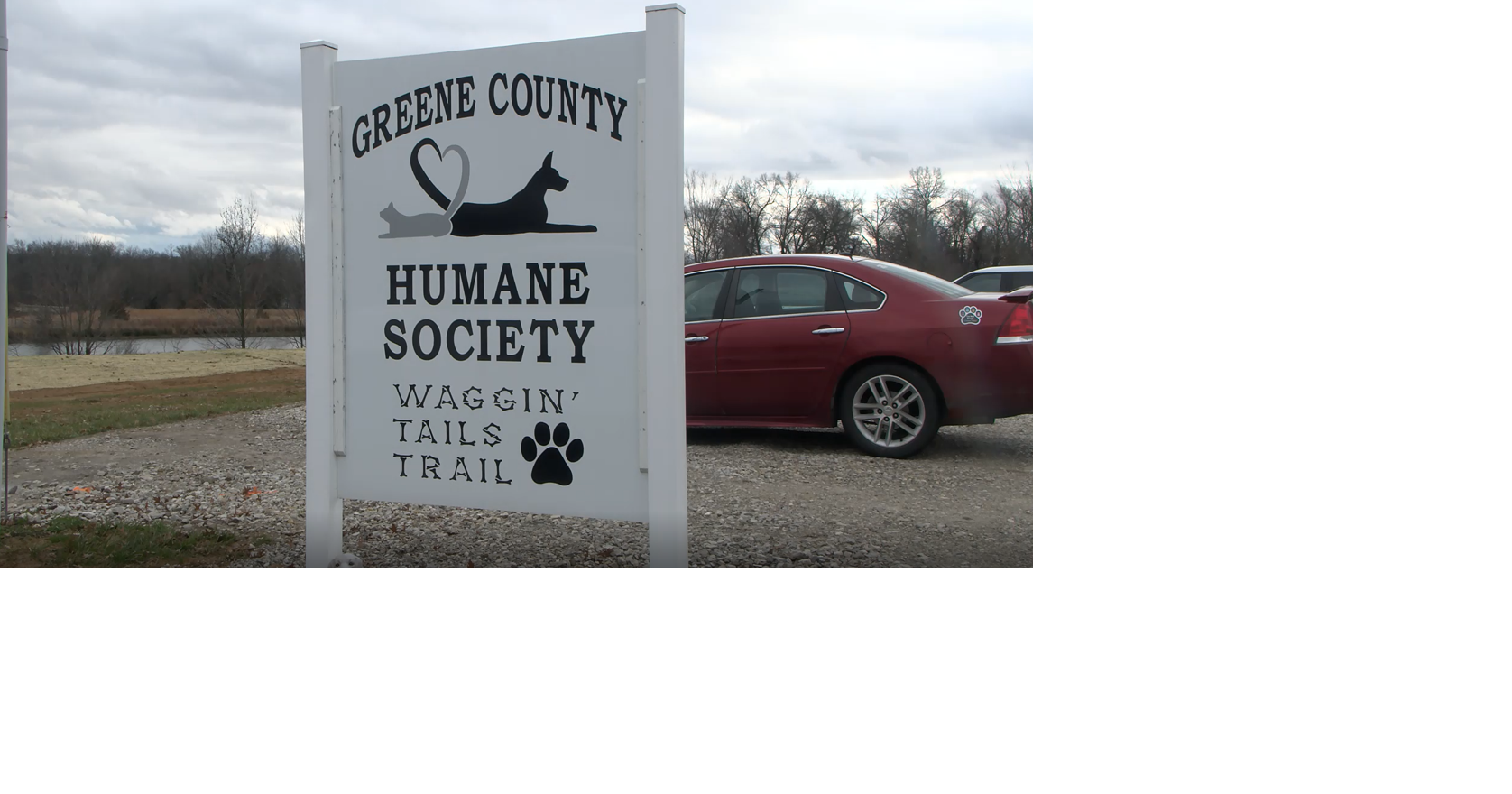 Greene County Humane Society launches campaign to build a new shelter