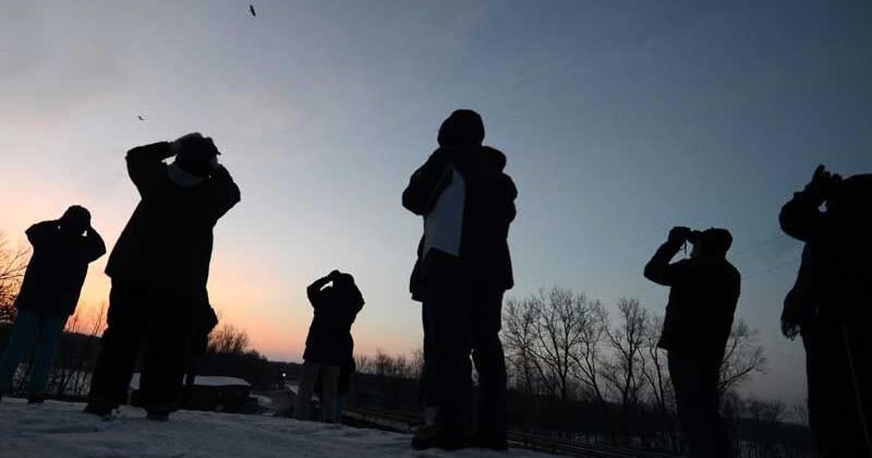 Eagles in Flight Weekend returns to Turkey Run State Park