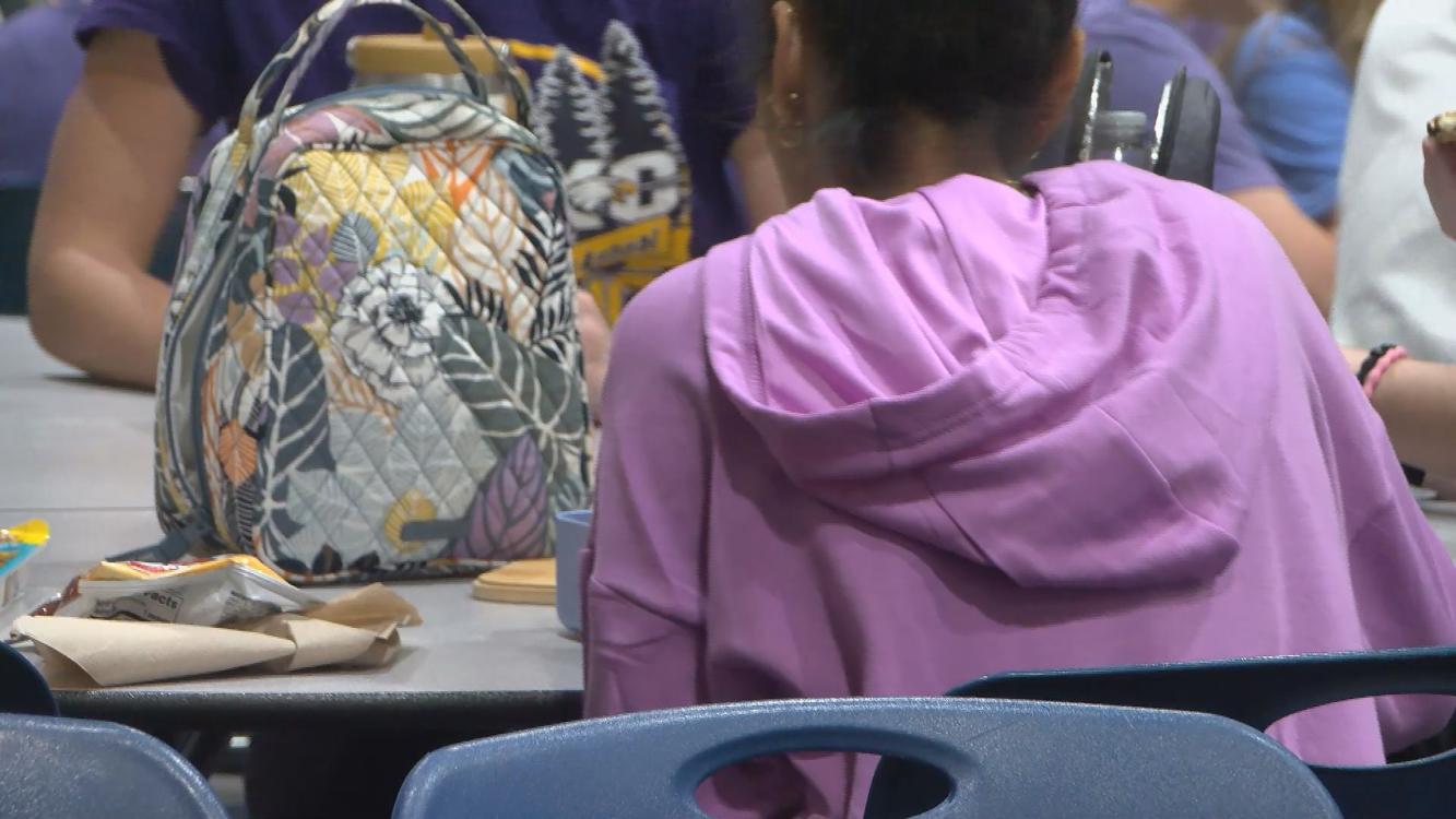 LintonStockton students and staff wore purple Monday in honor of 14