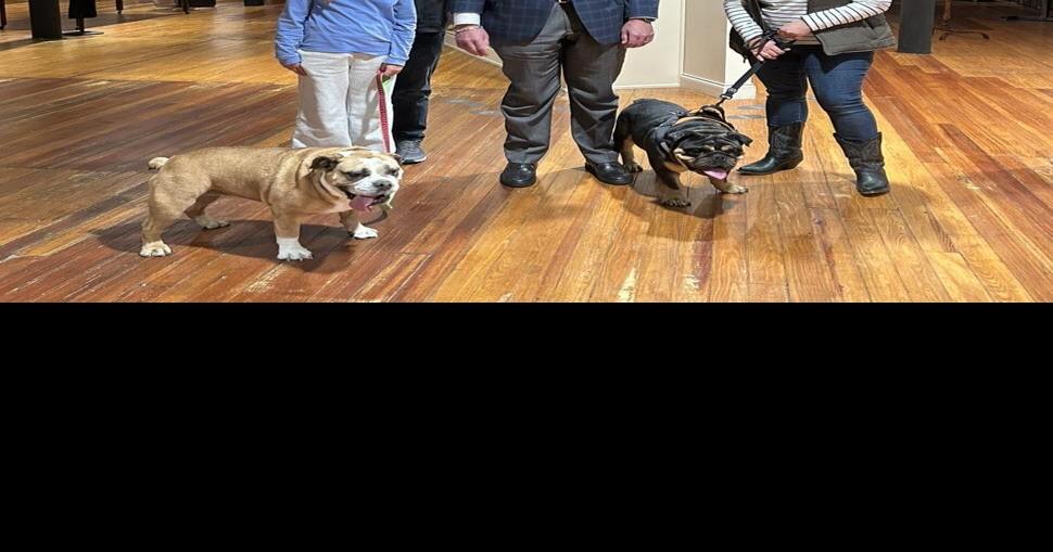 Stiffy Green lookalike contest