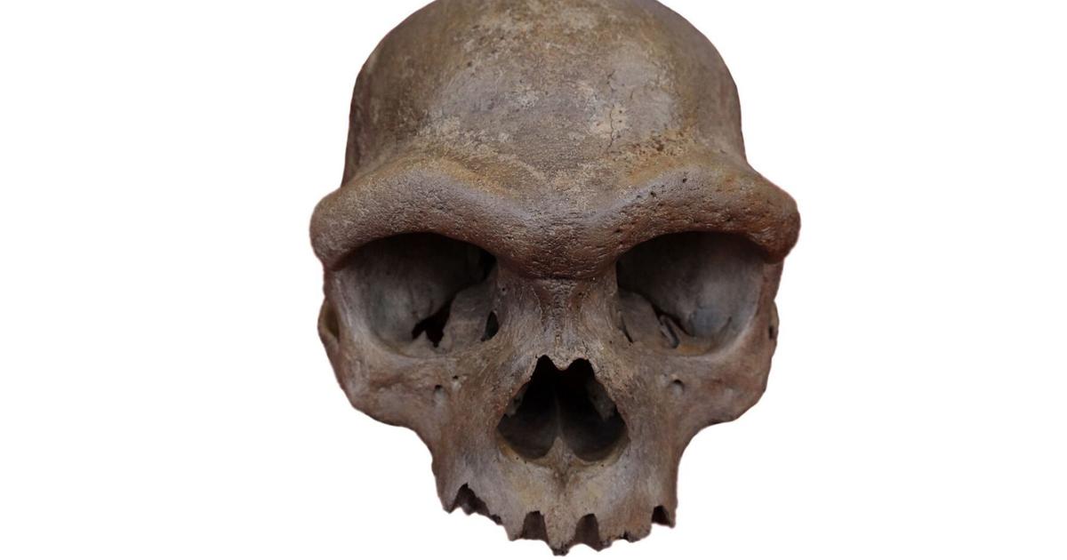 Human evolution’s biggest mystery has started to unravel. How 2025 ...