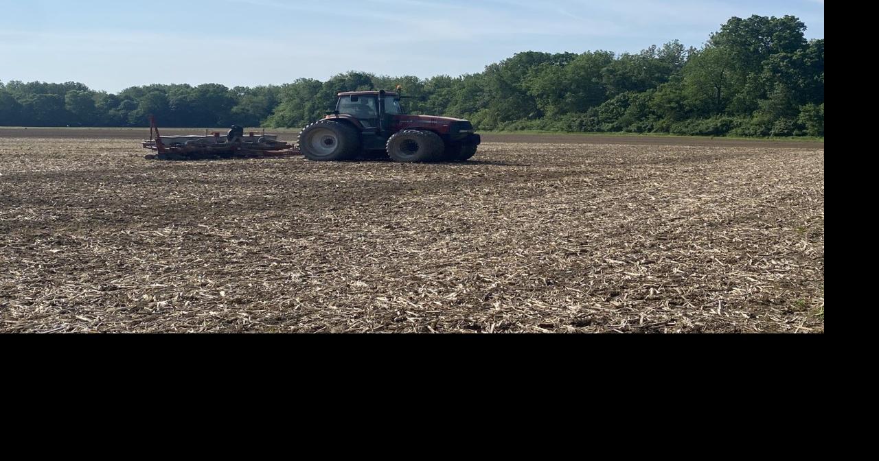 "Getting the seed was a relief" One local farmer has finally received