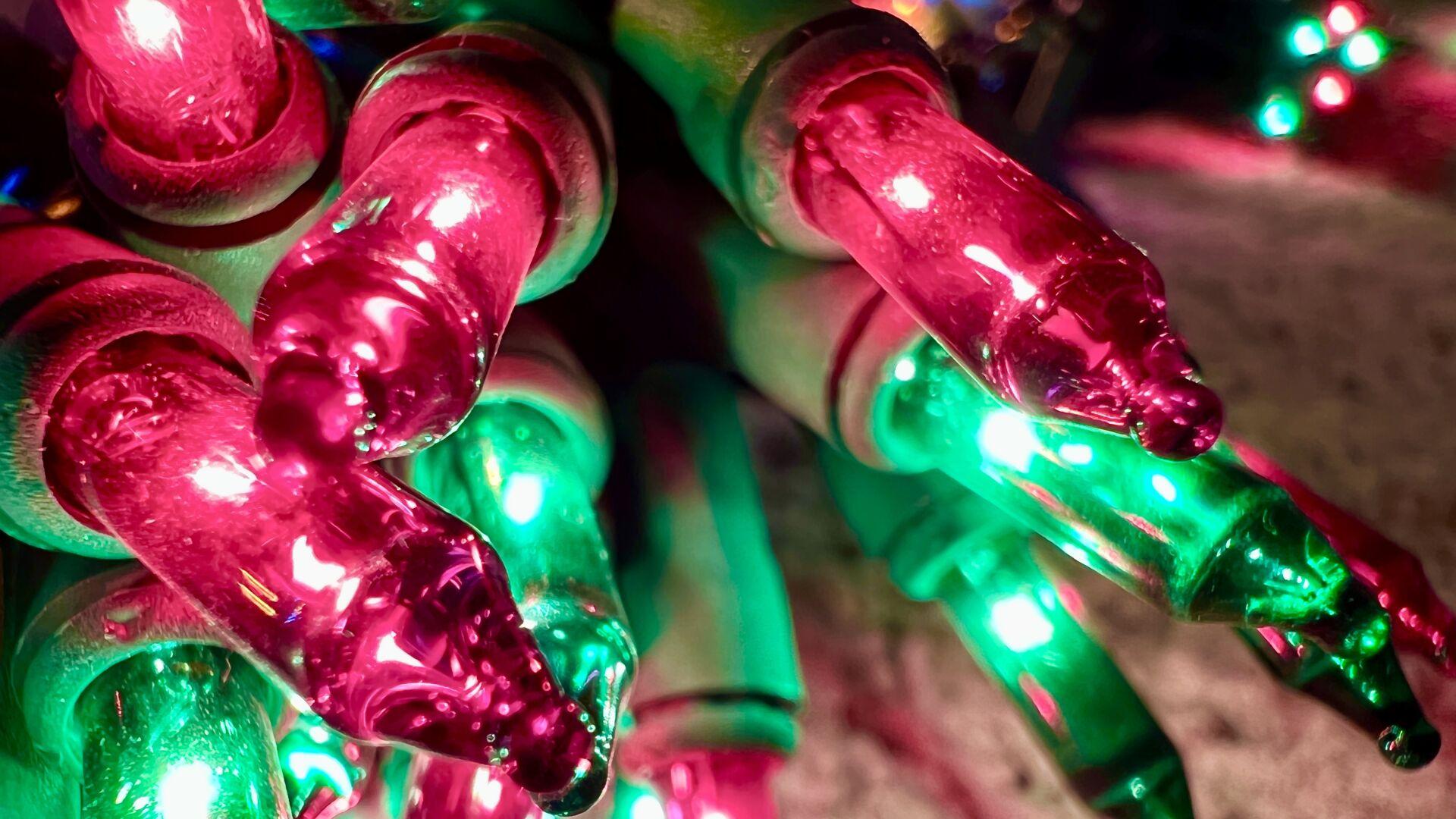 Deming Park Christmas Lights 2022 The Holidays Are Back At Deming Park - Here's What You Need To Know Before  You Go | News | Wthitv.com