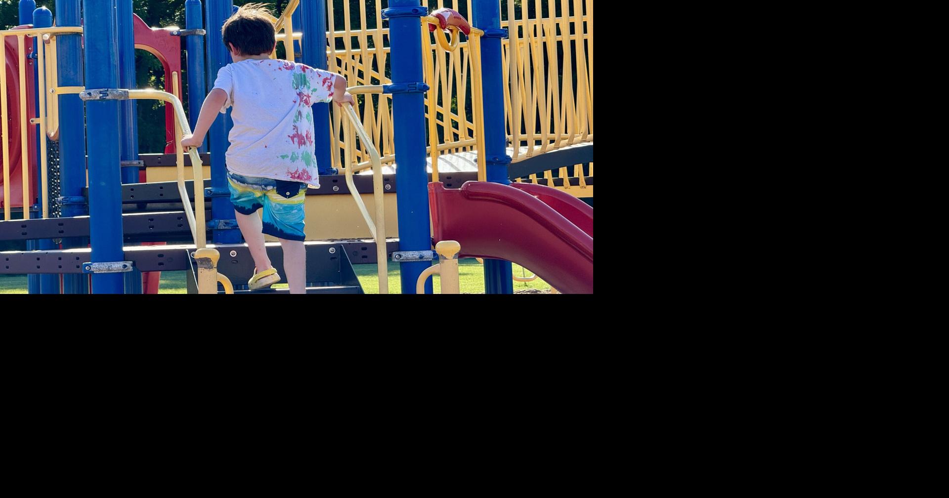 Foster care appreciation picnic happening Saturday at Shakamak State Park